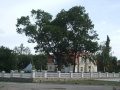 Bauerova vila